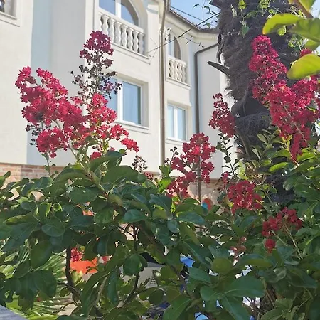 Casa Oasa -accommodation, Pizzeria & Bar 4*