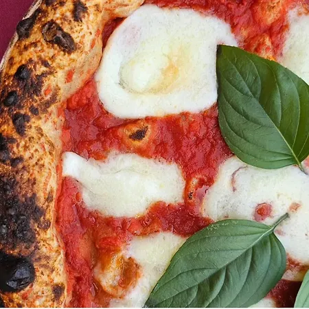 Casa Oasa Boutique Gourmet Pizza Pool Near B&B